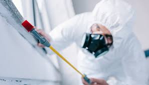 Professional Pest Control in Red Bud, IL